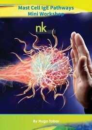 Mastzellen IgE-Bahnen (Mini-Workshop)