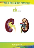 Renale Resorptionsbahnen