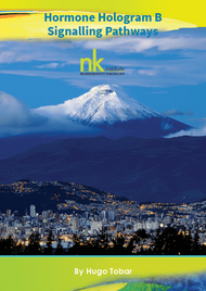 Hormon-Hologramm B